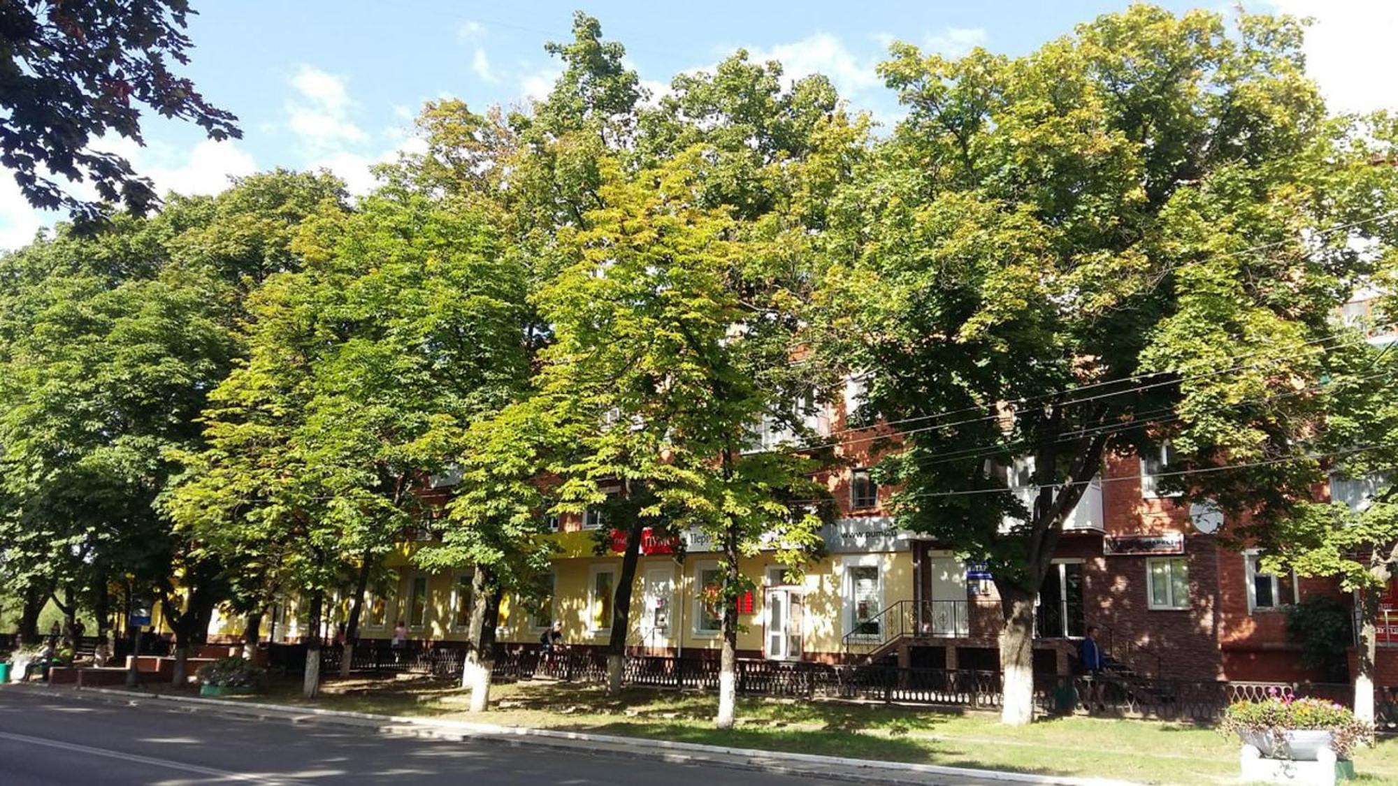 Уютная квартира Проспект Соборный 61 Олександрія Екстер'єр фото